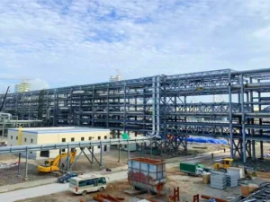 Industrial Pipe Bridges