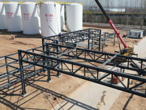 Herun Technology 36,000 T/Y Chemical Project